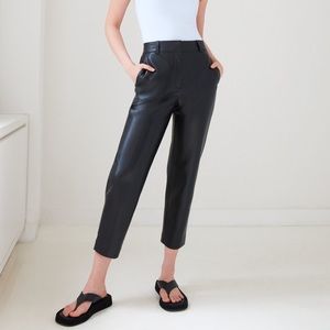 NWOT Aritzia Babaton Command Pant